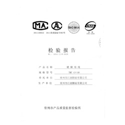 檢驗報告